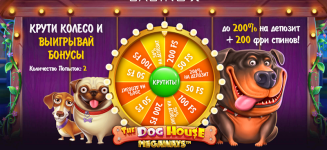 казино х.png казино х.png